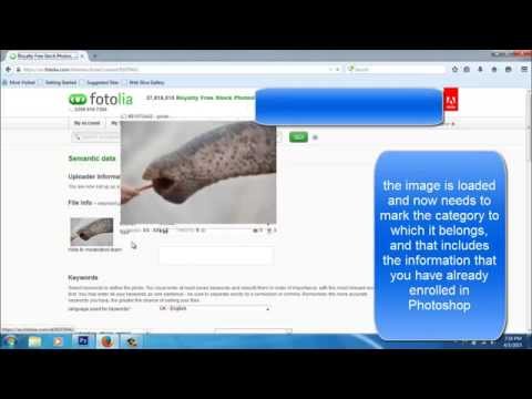 How to sell photos at FOTOLIA