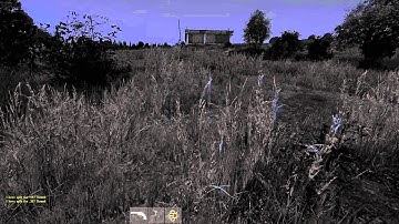 How NOT to use a grenade in DayZ