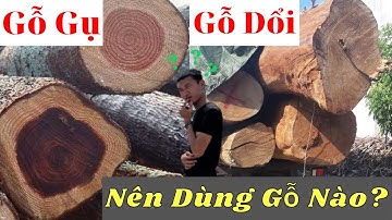 Gỗ Gụ Và Gỗ Dổi Nên Dùng Loại nào ? có Nên Nghe Lời Các Cụ ?