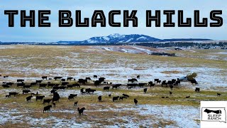 Day in the Life of an American Rancher