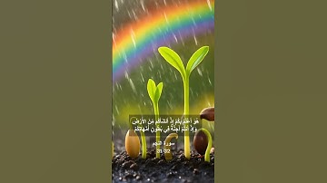 فلا تزكوا أنفسكم | سورة النجم (31-32) تلاوة الشيخ أحمد العجمي #قران_كريم #سورة_النجم #تلاوة