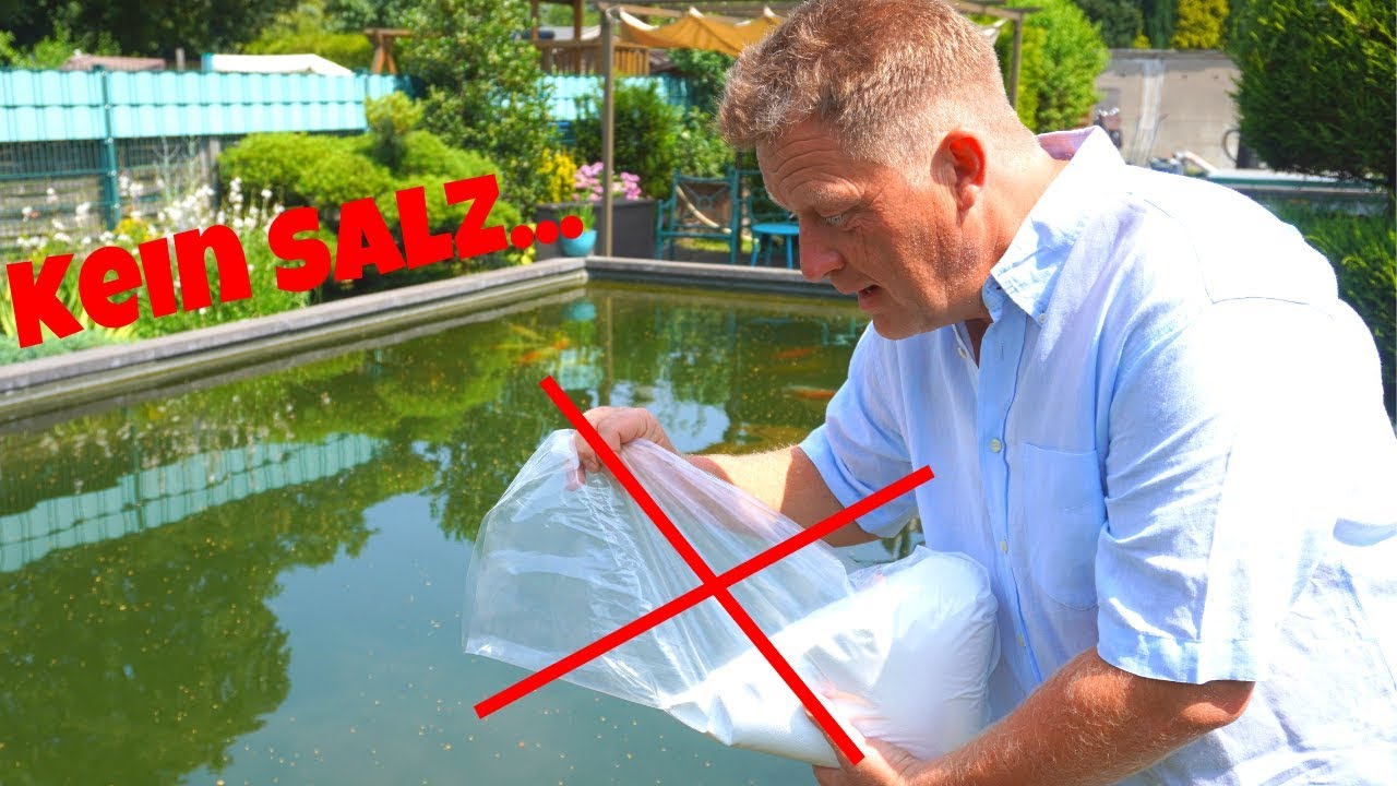 Koi Blog #213 - Salz gehört nicht in das Wasser...