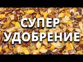 Супер удобрение которое падает прямо с неба! Очень эффективное и главное – бесплатно!