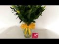 Arreglos Florales con Tulipanes | Flores a domicil