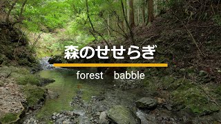 【環境音】森のせせらぎ/鳥の声/川の音/forest/river/bird/naturesounds/BGM