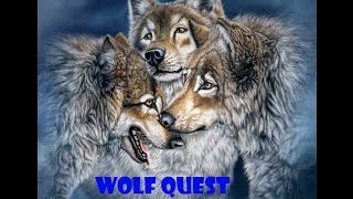 Прохождение Wolf Quest часть 1 начало бой за территории(, 2013-11-02T15:59:22.000Z)