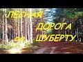 КОП Лесная дорога по Шуберту