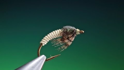 Tying a Antron caddis/sedge larva with Barry Ord Clarke