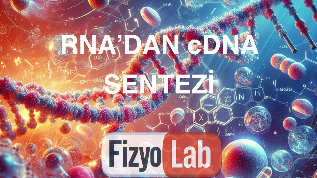 RNA'dan cDNA Sentezi YouTube