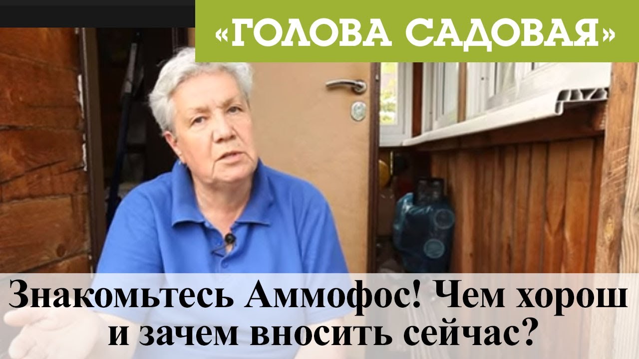 Голова садовая - Знакомьтесь Аммофос! Чем хорош и зачем вносить сейчас?