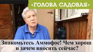 Голова садовая - Знакомьтесь Аммофос! Чем хорош и зачем вносить сейчас?