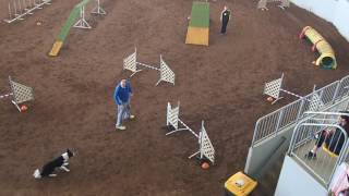 Snap Starters Agility - Grand Prix 2016