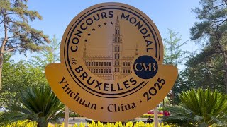 What do WINE PROs think about Chinese WINE???
I judged the 32nd edition of Concours Mondial de Bruxelles by @vinopres in Ningxia, China. So what do people think of the local wine? Find out more as I ask several wine pros.
🎉 Get your Coravin system: https://amzn.to/3P38B1l
🍷 Wineries:
Silver Heights
Great Wall Wines
Château Dulaan
Pernod Ricard China
Chandon China
✍ Related Article:
#china #wine #winecompetition
▬▬▬
✌SUBSCRIBE FOR MORE WINE VIDEOS
https://www.youtube.com/@drmatthewhorkey
📽YOUTUBE TOOLS I USE:
TubeBuddy: https://www.tubebuddy.com/exoticwinetravel
Epidemic Sound: https://www.epidemicsound.com/referral/48c8ra
▬▬▬
📸 MY ESSENTIAL EQUIPMENT
Music: https://www.epidemicsound.com/referral/48c8ra/
Sony FX30: https://amzn.to/3PF8onQ
Canon M50: https://amzn.to/3qYRx2O
Sony ZV-1: https://amzn.to/3XzkjH8
Sennheiser MKE 600 mic: https://amzn.to/3PERtSv
Deity D3 Mic: https://amzn.to/3UDUeof
Aputure Amaran 100d: https://amzn.to/3Q1RAqB
Aputure Light Dome SE: https://amzn.to/3vsFqgV
Canon 22mm lens: https://amzn.to/3n0cCbO
Sigma 16mm lens: https://amzn.to/3387AD6
Zoom H4N: https://amzn.to/3JOflPd
Manfrotto Mini-Tripod: https://amzn.to/335xaZg
Wine Necklace Holder: https://amzn.to/34jYXWt
▬▬▬
🤗 LETS CONNECT
Facebook: https://www.facebook.com/drmatthewhorkey
Instagram: https://www.instagram.com/drmattyh/
LinkedIn: https://www.linkedin.com/in/drmatthewhorkey/
Twitter: https://www.twitter.com/drmatthewhorkey
Vivino: https://www.vivino.com/users/matt.hork
▬▬▬
📢 DISCLOSURE
Some of these product links are set up through affiliate programs, which means I get referral credits if you choose to purchase these items via the links we provide. Affiliate links help me to continue to bring you great content. Thank you for contributing to the community! What do WINE PROs think about Chinese WINE???