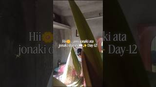 Jonaki Diaries Day 12 🌼 | Bengali Mini Vlog | Simple &amp; Peaceful Afternoon ✨