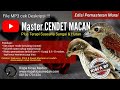 Masteran Murai Edisi Cendet Macan Putar Sebelum Cililin Mp3 - Mp4 Download
