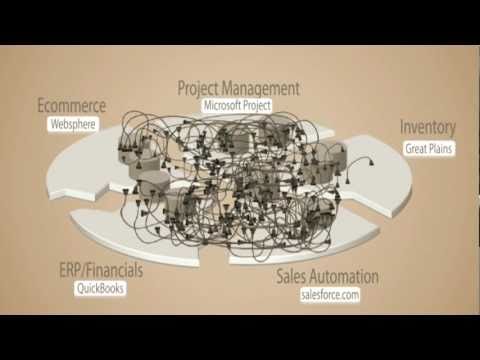 NetSuite Hairball Institute for Business cloud computing tutorial