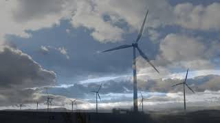 Corona Herbst - Ben Sullivan