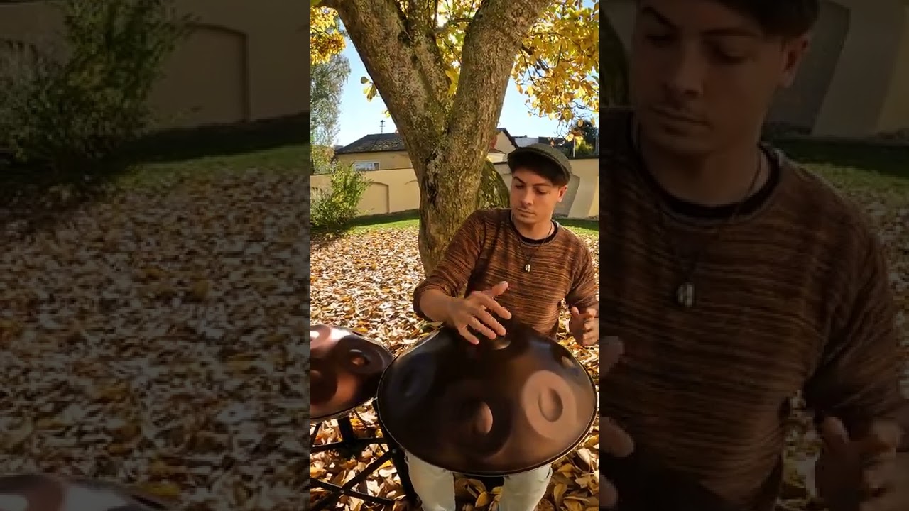 Marcel Hutter - falling leaves