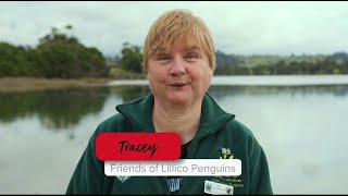 Tracey, Friends of Lillico Penguins - Be Connected. Be a Volunteer.