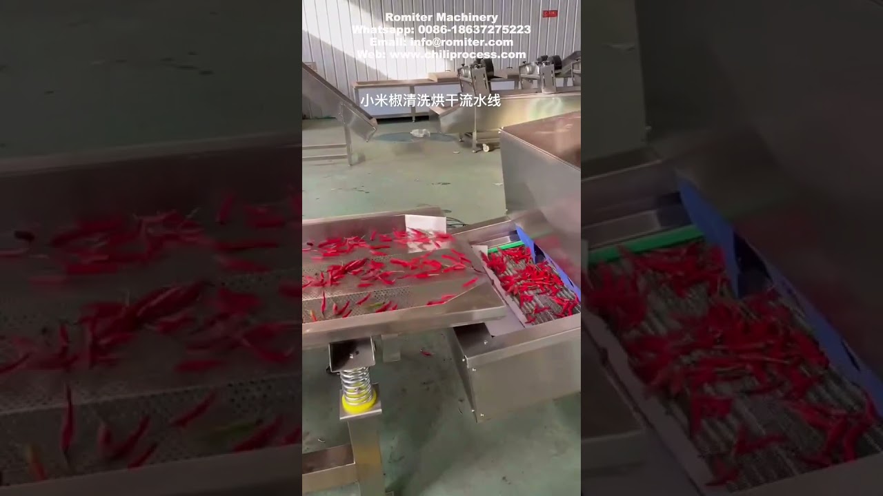 Fresh Chili Washing Cleaning Cutting Machine