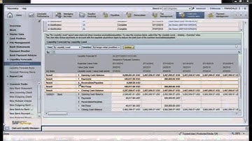 SAP Business ByDesign demo: Accounts Payable