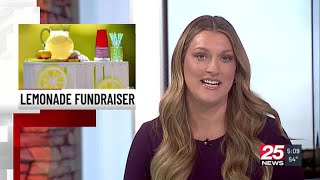 Lemonade Fundraiser