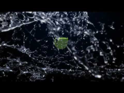 Rising Liquid Logo Reveal After Effects Template