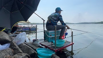 Câu cá sông mây hướng dẫn làm mồi câu trôi, phi, chép giật mỏi tay - Ngọc Mến official