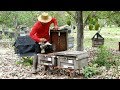 Honey bee hive inspection