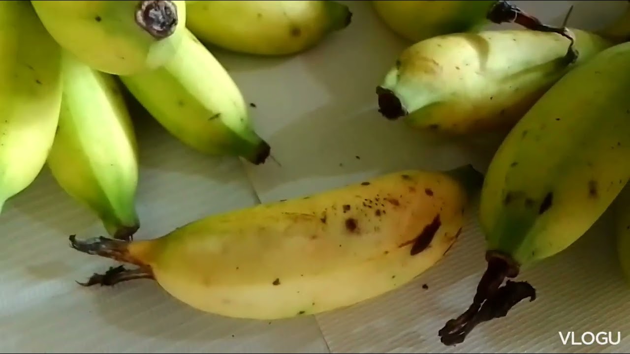 Lakatan Banana 🍌🍌