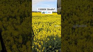 Was meint ihr? #raps #strafe #fendt #agriculture #tractor #landwirtschaft #farmlife #farming #fendt