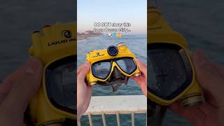 Send this to a girly who LOVES snorkeling 🫶🏻🌊🤿 #snorkeling #ocean #summervacation