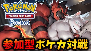 ついにガオガエンと〇〇！！ 視聴者参加型 | デッキ組み | 雑談【ポケポケ Pokémon Trading Card Game Pocket】
