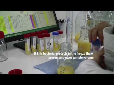 A look inside Ireland's top AI company