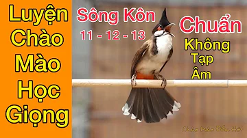 Chao Mao Song Kon Giong Chuan