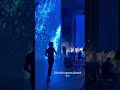 Dimash Stranger Almaty Concert 2022 09 23 Dimash Stranger Almaty Concert 2022 09 23