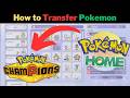How to Transfer Pokemon to Pokemon Champions from Pokemon Home (Step-by-step Guide)