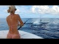 Fighting a 500 lb blue marlin for my birt.ay amazing jumps