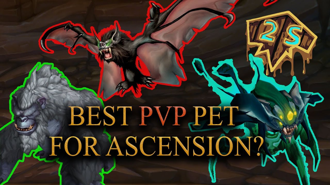 Best PvP Pet for Project Ascension - Season 7 - YouTube