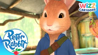 @OfficialPeterRabbit  Camping Season | ActionPacked Adventures | Wizz Cartoons