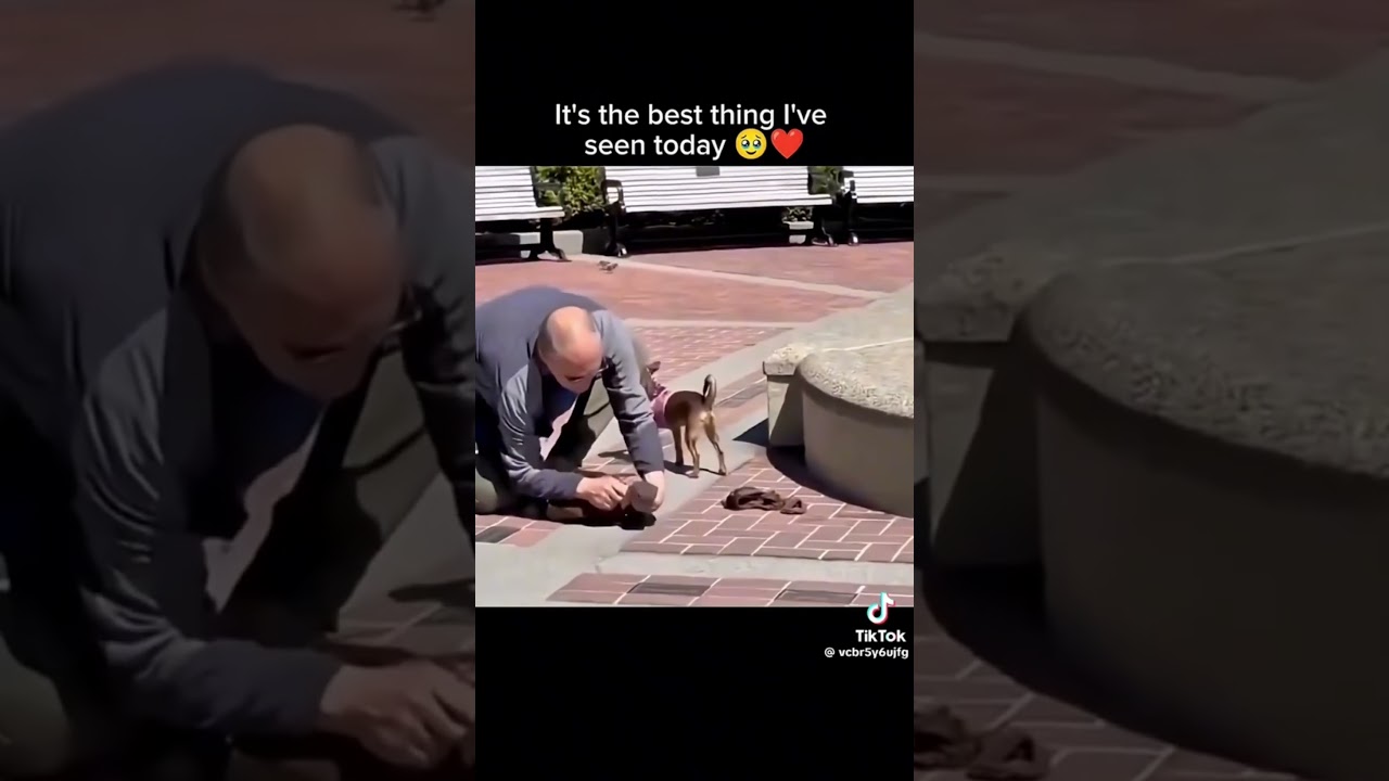 Duck is wearing lil booties!!  #viral #animals #pets