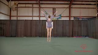 LEVEL C b ROPE Back Original Audio