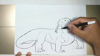 How to draw KOMODO Dragon in 5 Minutes