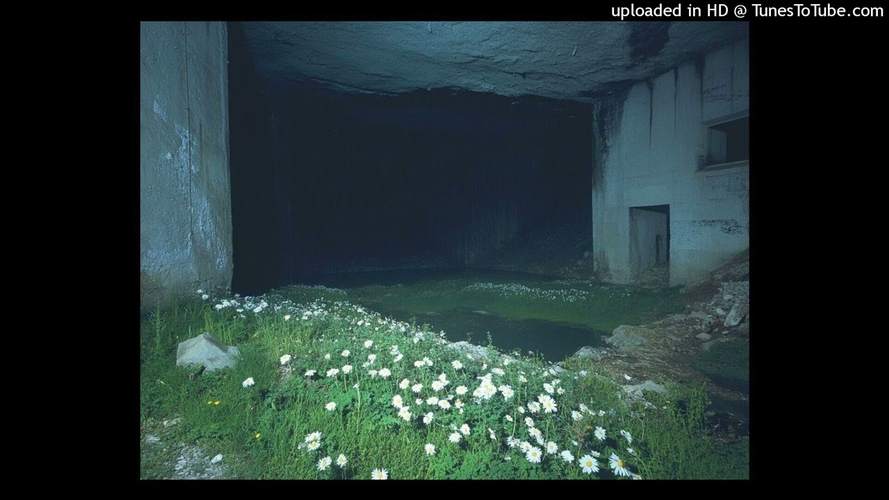 notinbed x s0mebody x izaya tiji x luther type beat - locked up (