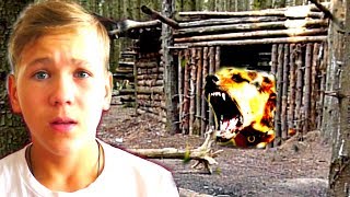 КОШКИ Убежали! Кошка Никиса СПАСЛА от ГИБЕЛИ Кошечку Марфу. КОШКИ Убежали! Кошка Никиса СПАСЛА от ГИБЕЛИ Кошечку Марфу.