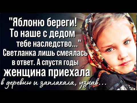 Видео: Оставшийся в наследство отец Даниэллы Бреголи утверждает, что ему больше не нужно платить за ребенка за дочь