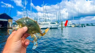 Fishing BLUE CRAB for a DOCK MONSTER!! HEAVIEST FISH I'VE EVER LANDED