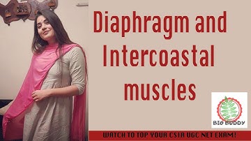 CSIR Net Life Science Lectures Module Wise Chapter Two Part Three|Diaphragm and Intercostal Muscle|