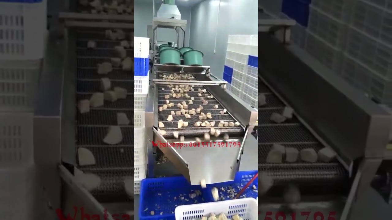 Potato Chips Fruit Drying Machine Vegetable Potato Dryer Continuous Dewatering Machine