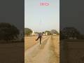 Part 2 Javelin throw exercise for men||javelin||#javelin#youtubeshorts#explore#trending #viral
